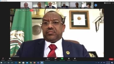 تحت رعاية جامعة الدول العربية عقدت اليوم المنظمة العربية للطيران المدني ورشة عمل حول استعادة ثقة المسافر وسعادة السفير الدكتور كمال حسين علي يطرح رؤيته