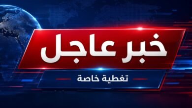 عاجل | استهداف سفينة بمقذوف مجهول أثناء عبورها مضيق هرمز