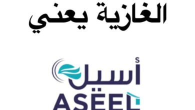 شركة “أسيل” تكتسح سوق المواد الغذائية في الغازية