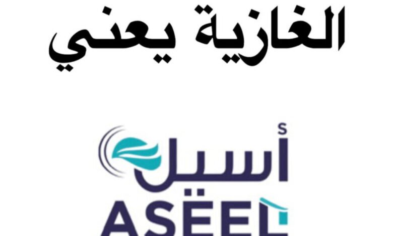 شركة “أسيل” تكتسح سوق المواد الغذائية في الغازية